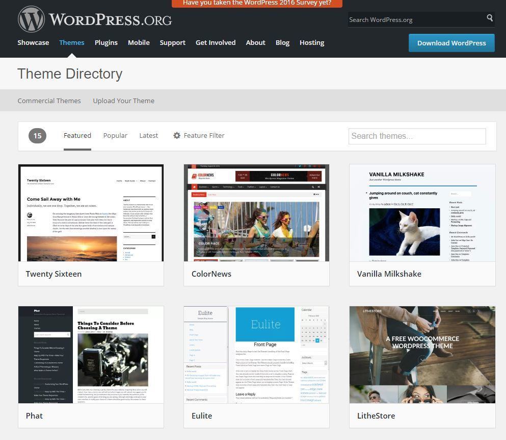 wordpress-theme