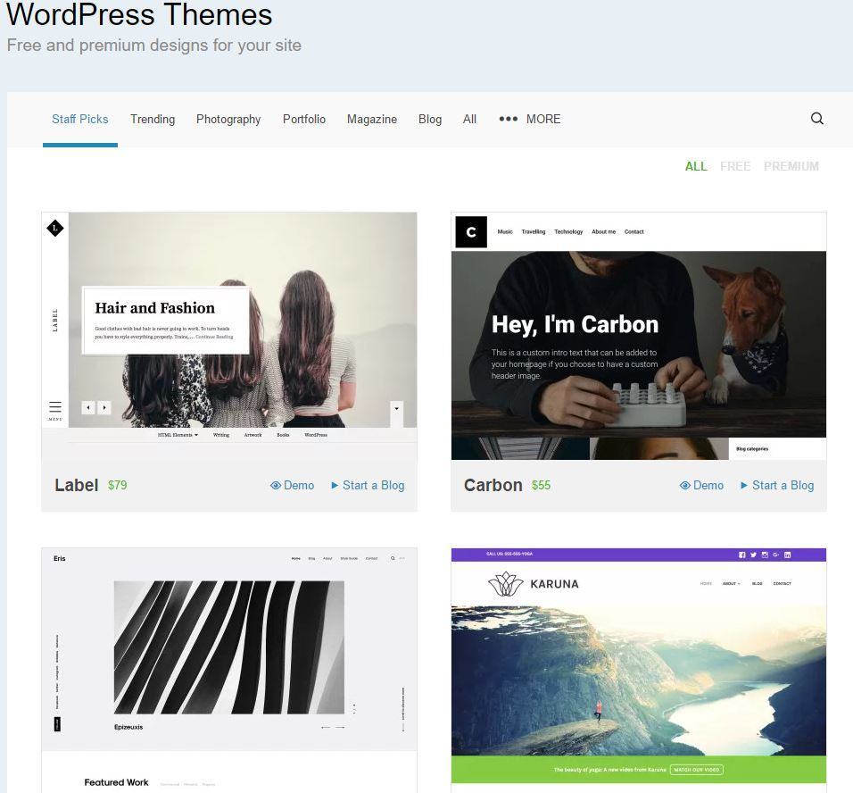 wordpress-theme