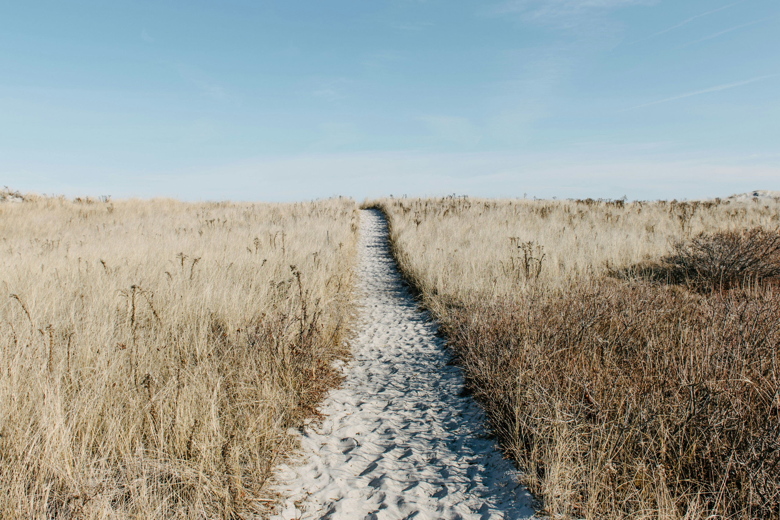 Sandy path